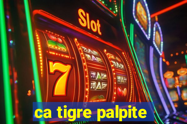 ca tigre palpite
