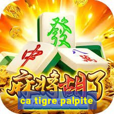 ca tigre palpite