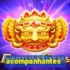 acompanhantes masculino porto velho
