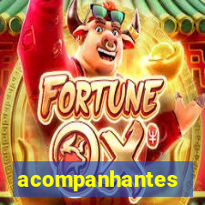 acompanhantes masculino porto velho