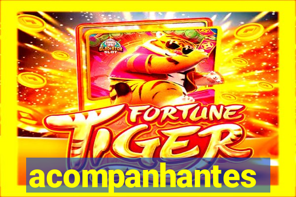 acompanhantes masculino porto velho