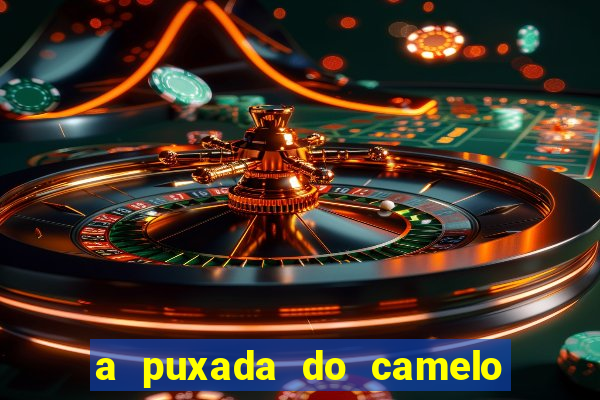 a puxada do camelo no jogo do bicho