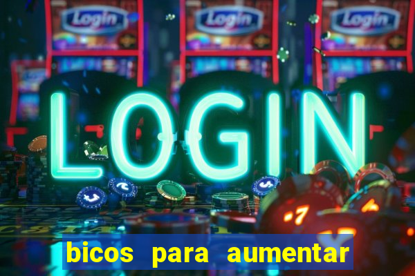 bicos para aumentar a renda