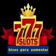 bicos para aumentar a renda
