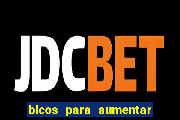 bicos para aumentar a renda