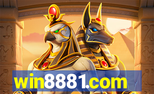 win8881.com