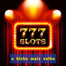 o bicho mais velho da loteria dos sonhos