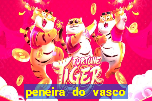 peneira do vasco da gama