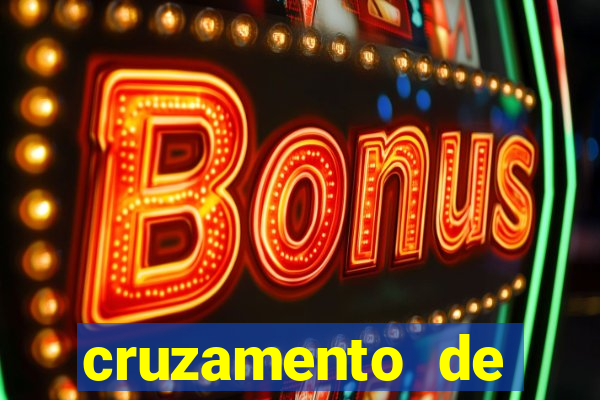cruzamento de cavalo com jumenta globo rural