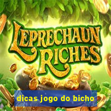 dicas jogo do bicho
