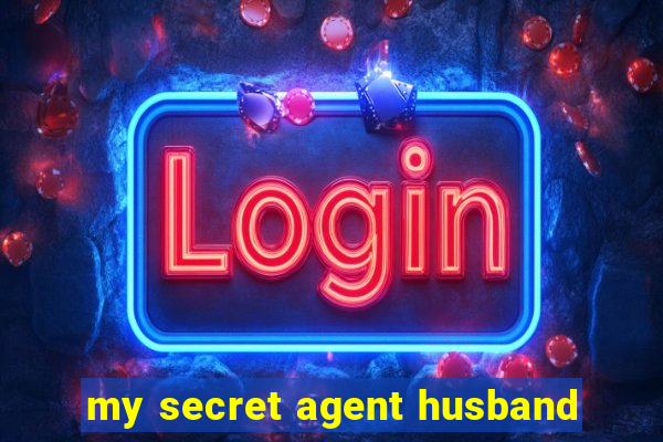 my secret agent husband