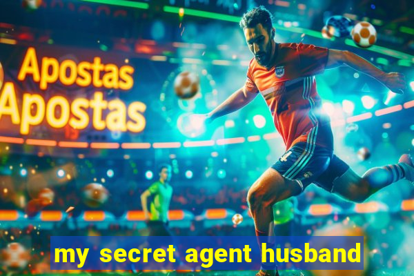 my secret agent husband