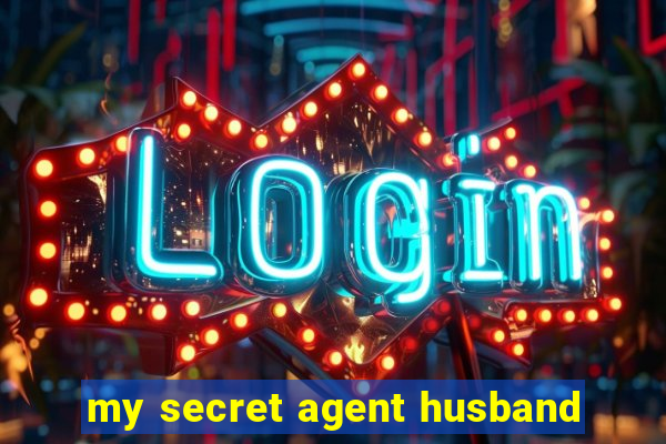 my secret agent husband