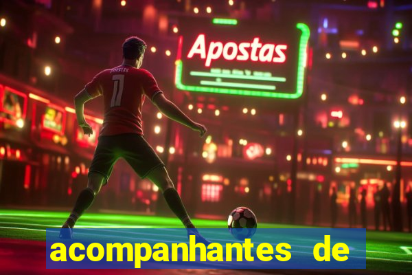 acompanhantes de luxo sc