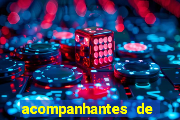 acompanhantes de luxo sc