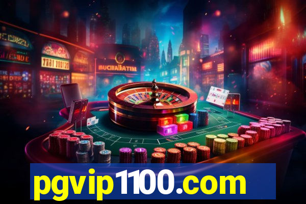 pgvip1100.com