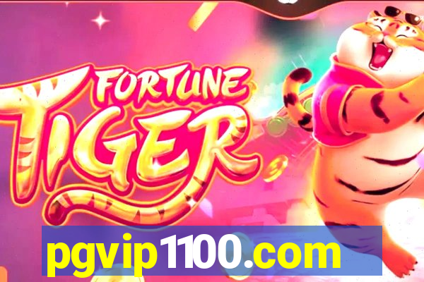 pgvip1100.com