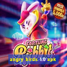 angry birds 1.0 apk