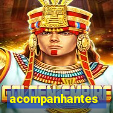 acompanhantes cruzeiro do sul