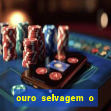 ouro selvagem o que aconteceu na vida