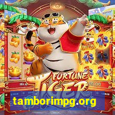 tamborimpg.org