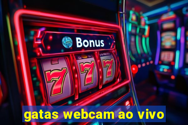 gatas webcam ao vivo