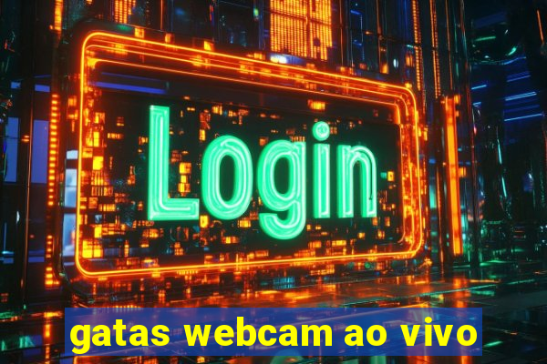 gatas webcam ao vivo