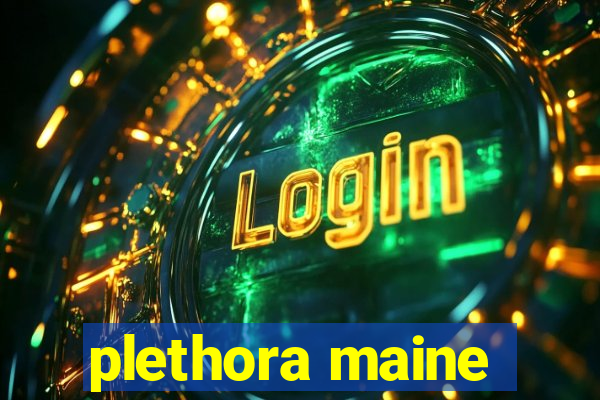 plethora maine