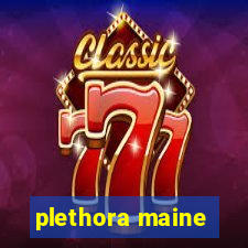 plethora maine