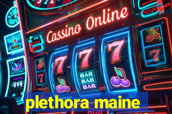 plethora maine