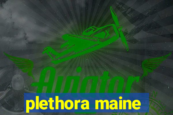 plethora maine