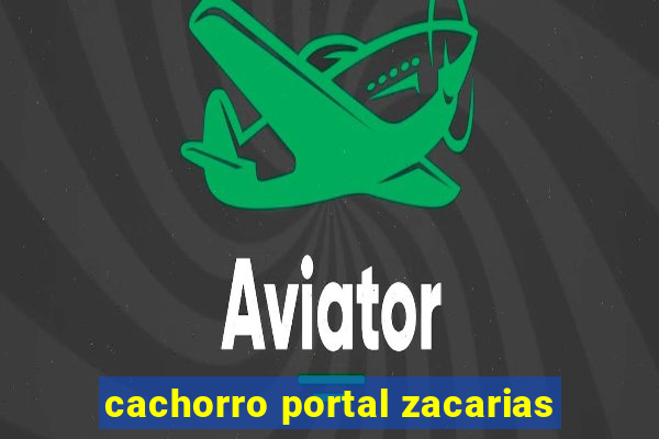 cachorro portal zacarias