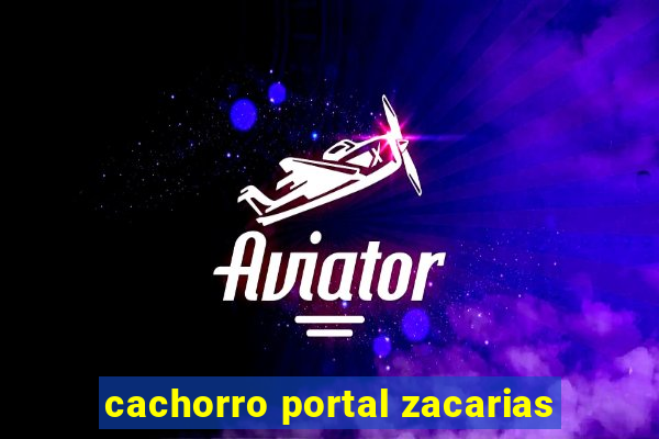 cachorro portal zacarias
