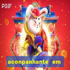 aconpanhante em porto alegre