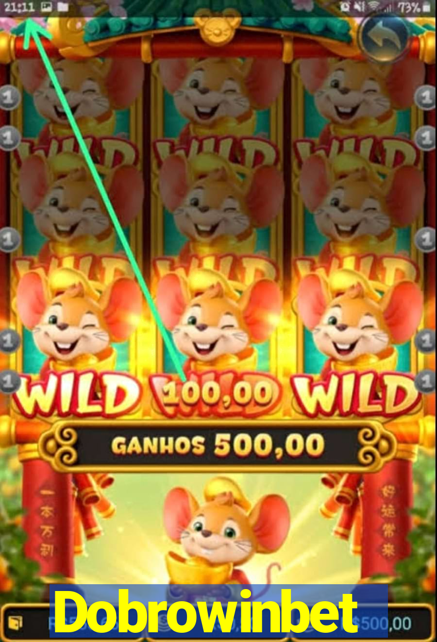 Dobrowinbet