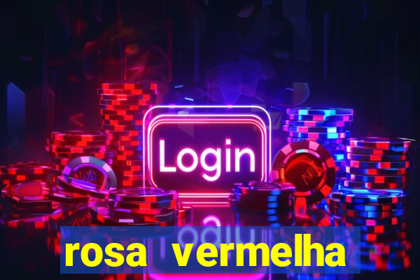 rosa vermelha (letra e cifra)