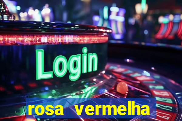rosa vermelha (letra e cifra)