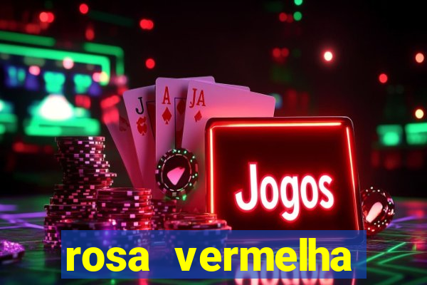 rosa vermelha (letra e cifra)