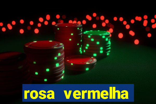 rosa vermelha (letra e cifra)