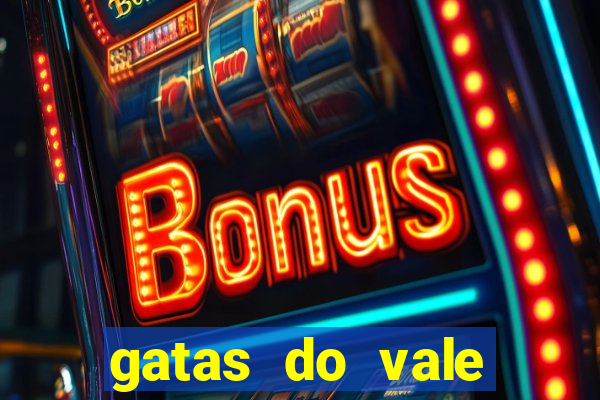 gatas do vale juazeiro bahia