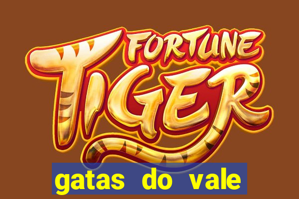 gatas do vale juazeiro bahia