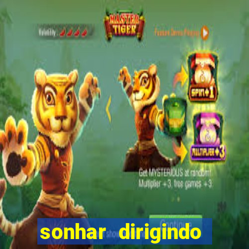 sonhar dirigindo carro jogo do bicho