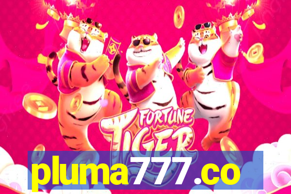 pluma777.co