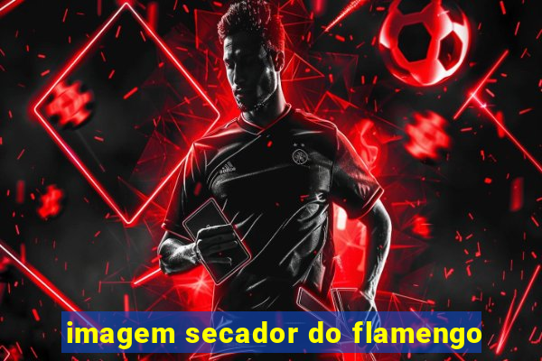 imagem secador do flamengo