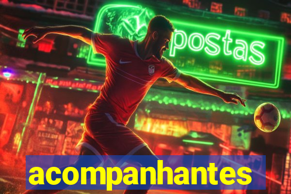 acompanhantes chamada de video
