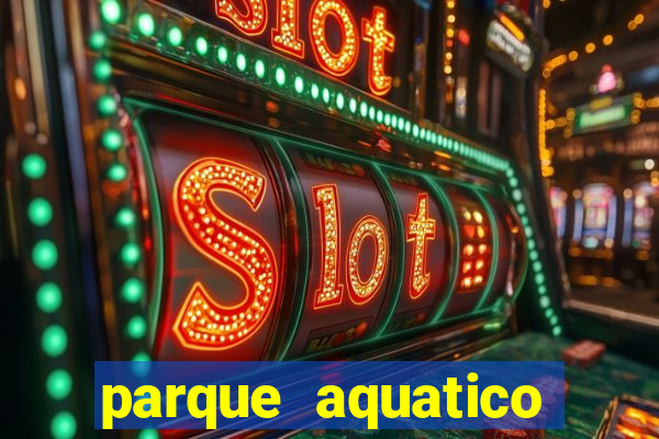 parque aquatico tina rolf salvador bahia