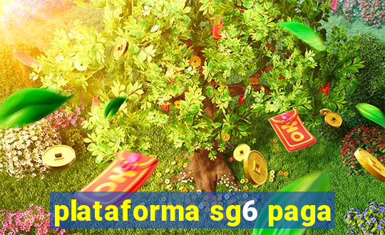 plataforma sg6 paga