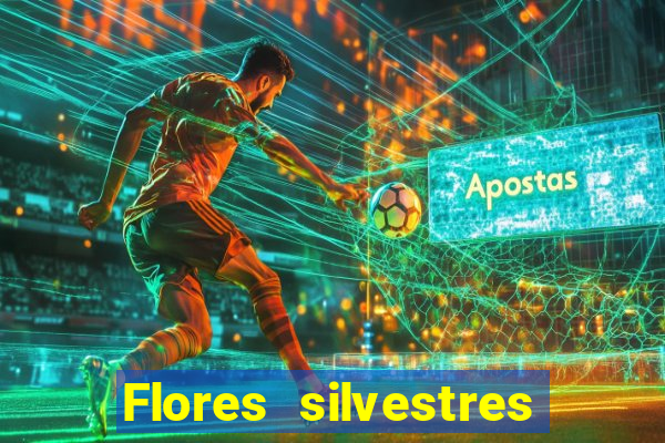 Flores silvestres brasileiras 25
