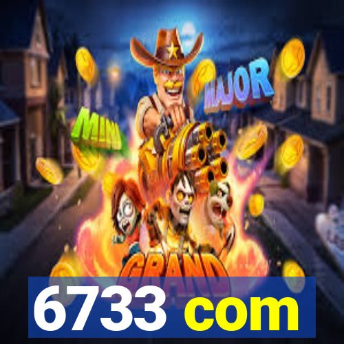6733 com