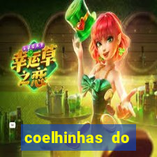 coelhinhas do brasil site